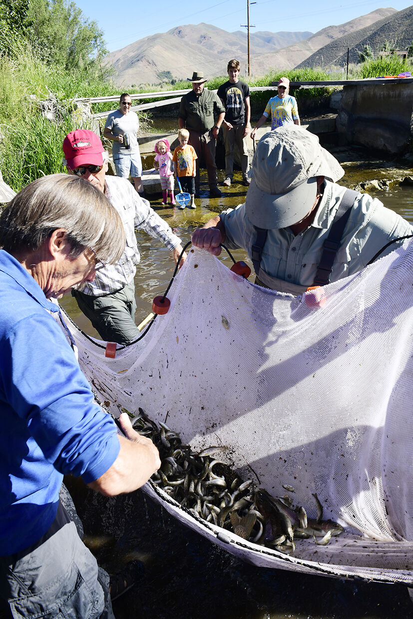 21-07-03 Fish Rescue 5 Roland.jpg